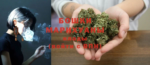 прущие крисы Новодвинск