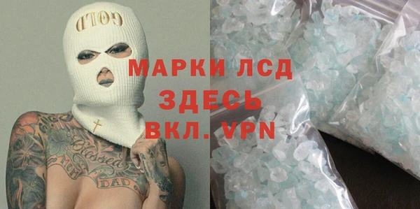спиды Новозыбков