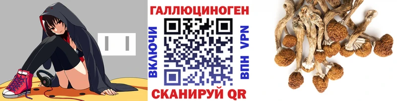 Галлюциногенные грибы Magic Shrooms  Торопец 
